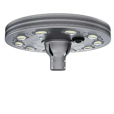 Luminaire Solaire Floral Multi-Spots HL-PSGL 800W